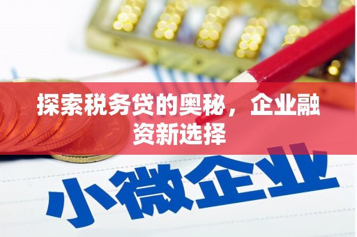 林西探索税务贷的奥秘，企业融资新选择