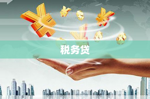林西税务贷