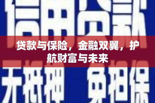 林西贷款与保险，金融双翼，护航财富与未来