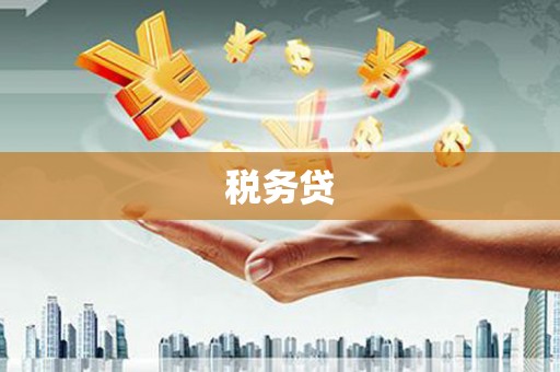 林西税务贷