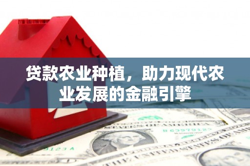 林西贷款农业种植，助力现代农业发展的金融引擎