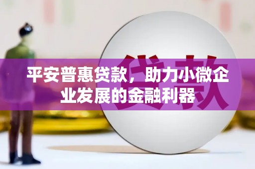 林西平安普惠贷款，助力小微企业发展的金融利器