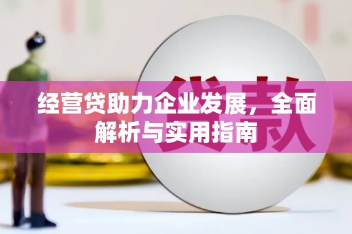 林西经营贷助力企业发展，全面解析与实用指南
