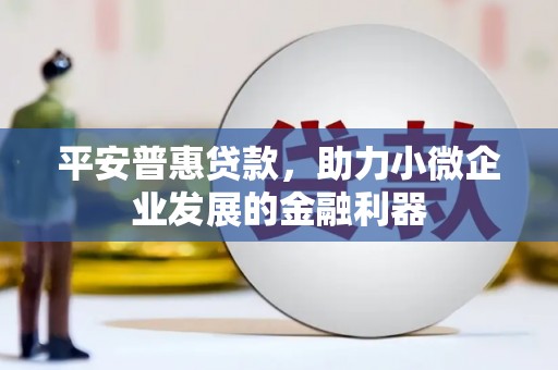 林西平安普惠贷款，助力小微企业发展的金融利器