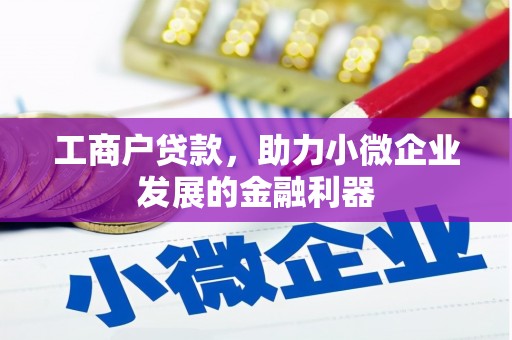 林西工商户贷款，助力小微企业发展的金融利器
