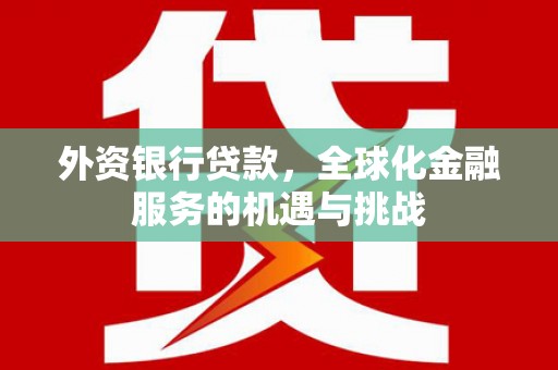 林西外资银行贷款，全球化金融服务的机遇与挑战