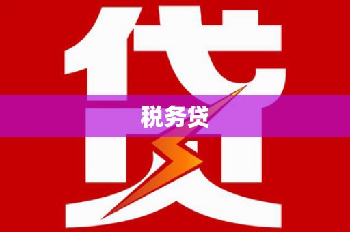 林西税务贷