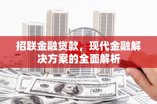 林西招联金融贷款，现代金融解决方案的全面解析