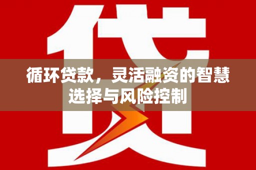 林西循环贷款，灵活融资的智慧选择与风险控制