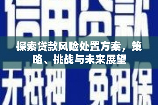 林西探索贷款风险处置方案，策略、挑战与未来展望