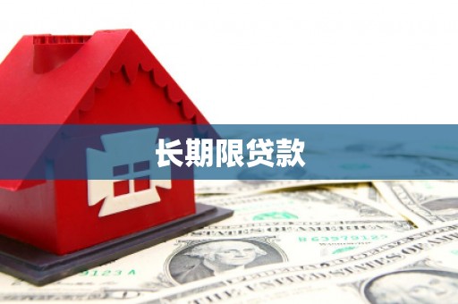 林西长期限贷款