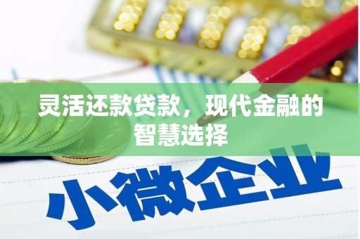 林西灵活还款贷款，现代金融的智慧选择