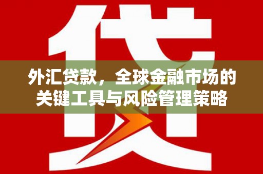 林西外汇贷款，全球金融市场的关键工具与风险管理策略