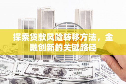 林西探索贷款风险转移方法，金融创新的关键路径