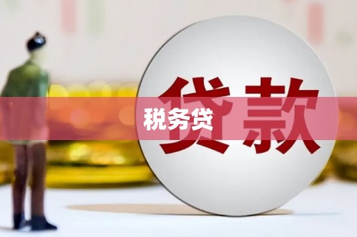 林西税务贷