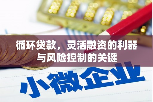 林西循环贷款，灵活融资的利器与风险控制的关键