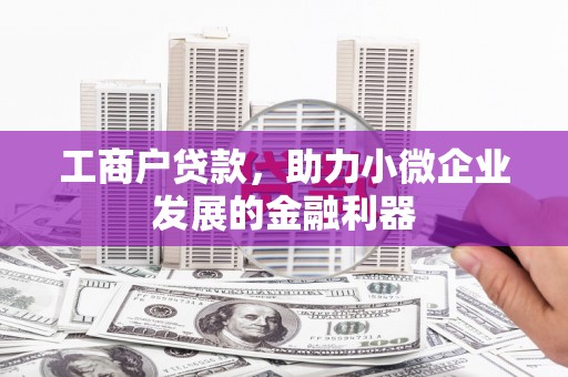 林西工商户贷款，助力小微企业发展的金融利器