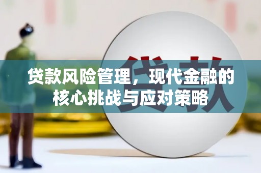 林西贷款风险管理，现代金融的核心挑战与应对策略