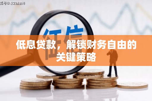 林西低息贷款，解锁财务自由的关键策略