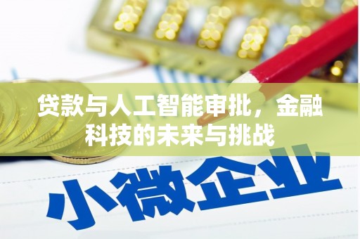 林西贷款与人工智能审批，金融科技的未来与挑战