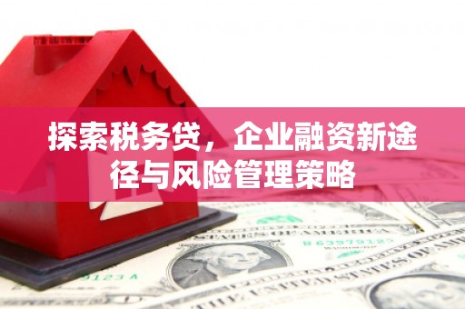 林西探索税务贷，企业融资新途径与风险管理策略