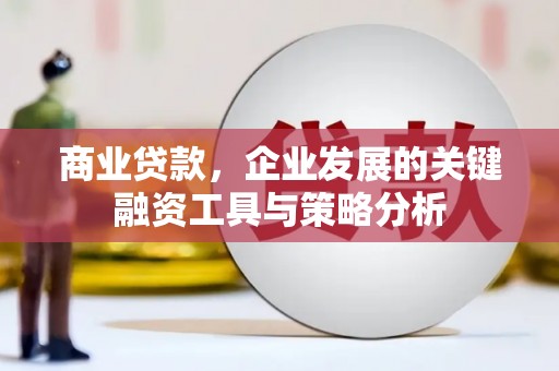 林西商业贷款，企业发展的关键融资工具与策略分析