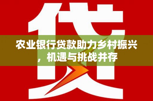 林西农业银行贷款助力乡村振兴，机遇与挑战并存