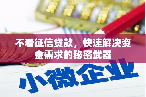 林西不看征信贷款，快速解决资金需求的秘密武器