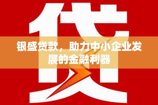 林西银盛贷款，助力中小企业发展的金融利器