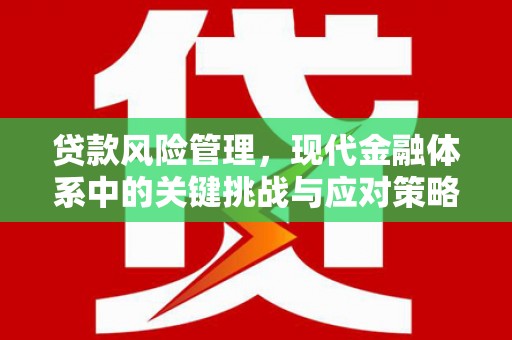 林西贷款风险管理，现代金融体系中的关键挑战与应对策略