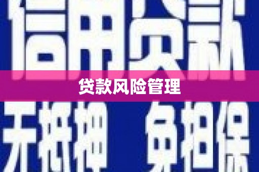 林西贷款风险管理