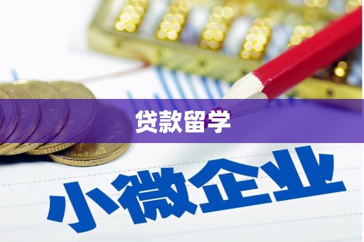 林西贷款留学