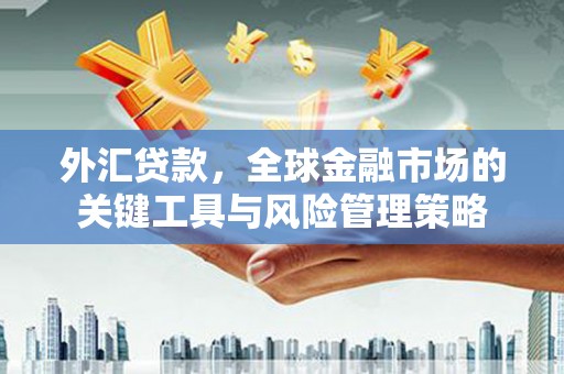 林西外汇贷款，全球金融市场的关键工具与风险管理策略