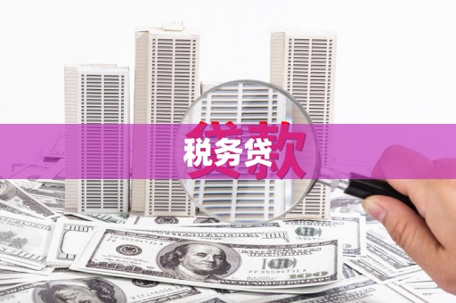 林西税务贷