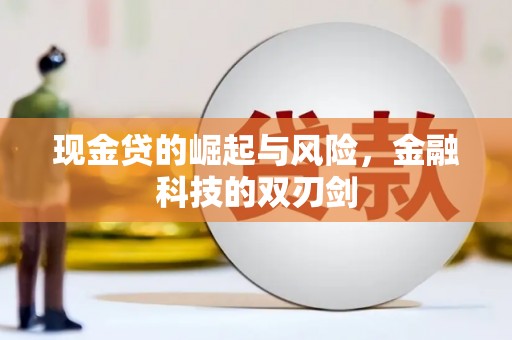 林西现金贷的崛起与风险，金融科技的双刃剑