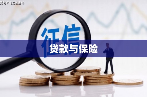 林西贷款与保险