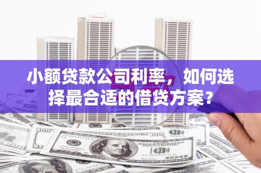 林西小额贷款公司利率，如何选择最合适的借贷方案？