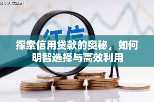 林西探索信用贷款的奥秘，如何明智选择与高效利用