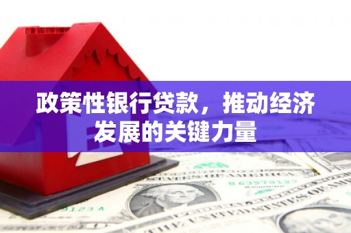 林西政策性银行贷款，推动经济发展的关键力量