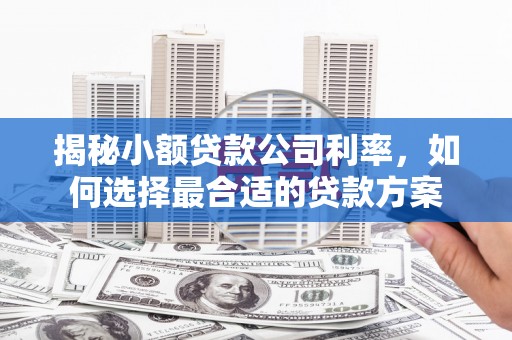 林西揭秘小额贷款公司利率，如何选择最合适的贷款方案