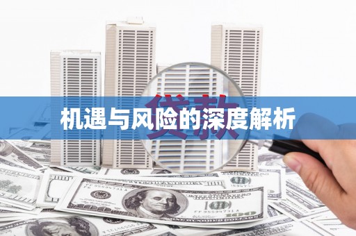 林西机遇与风险的深度解析