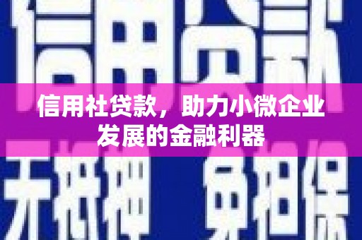 林西信用社贷款，助力小微企业发展的金融利器