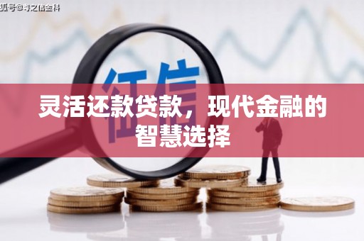 林西灵活还款贷款，现代金融的智慧选择