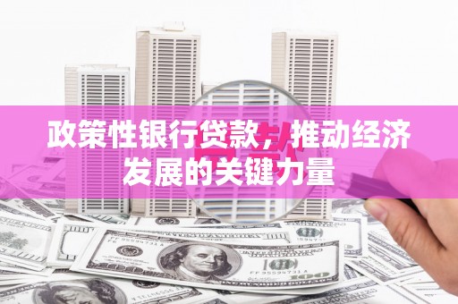 林西政策性银行贷款，推动经济发展的关键力量