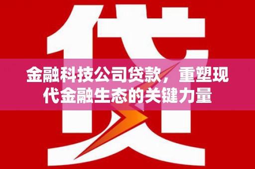林西金融科技公司贷款，重塑现代金融生态的关键力量