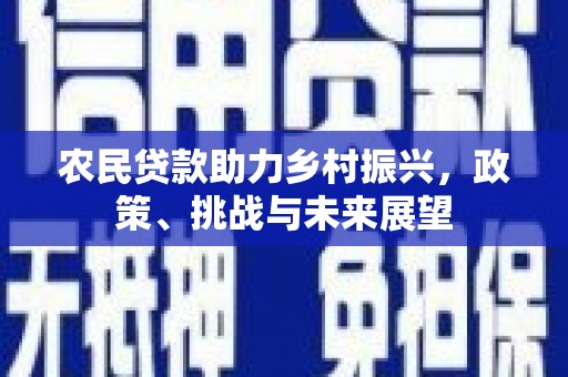 林西农民贷款助力乡村振兴，政策、挑战与未来展望