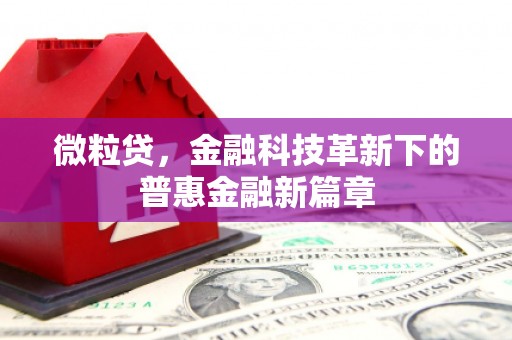 林西微粒贷，金融科技革新下的普惠金融新篇章