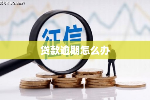 林西贷款逾期怎么办