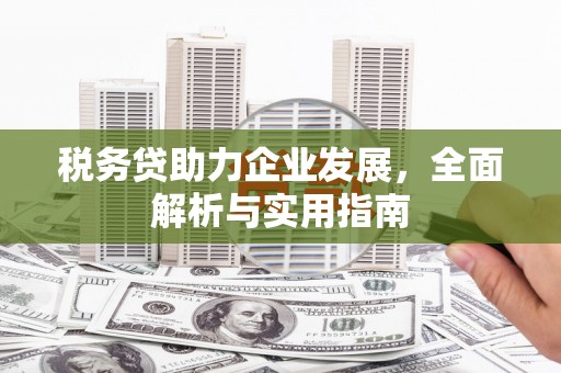 林西税务贷助力企业发展，全面解析与实用指南