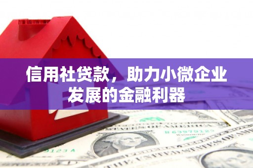 林西信用社贷款，助力小微企业发展的金融利器